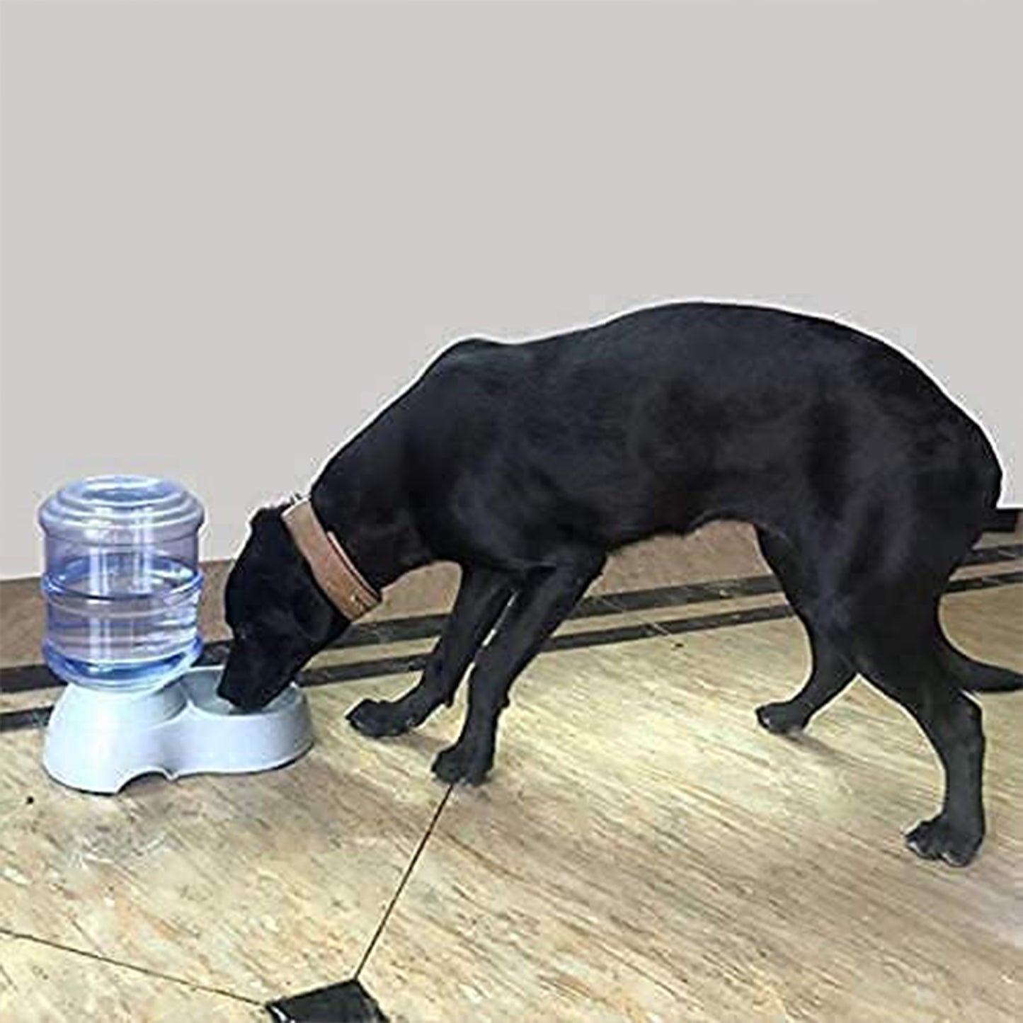 Automatic Pet Water Dispenser Self-Dispensing Gravity Pet Feeder Water Cat Dog Feeding Bowl Drinking Water