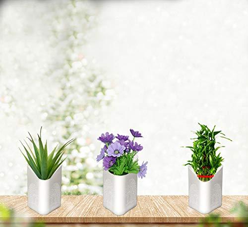 Plastic Vertical Hanging Planter Pot Multicolour