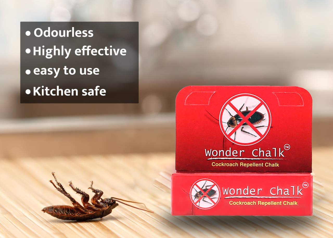 Cockroaches Repellent Chalk Keep Cockroach Away (Pack Of 12)
