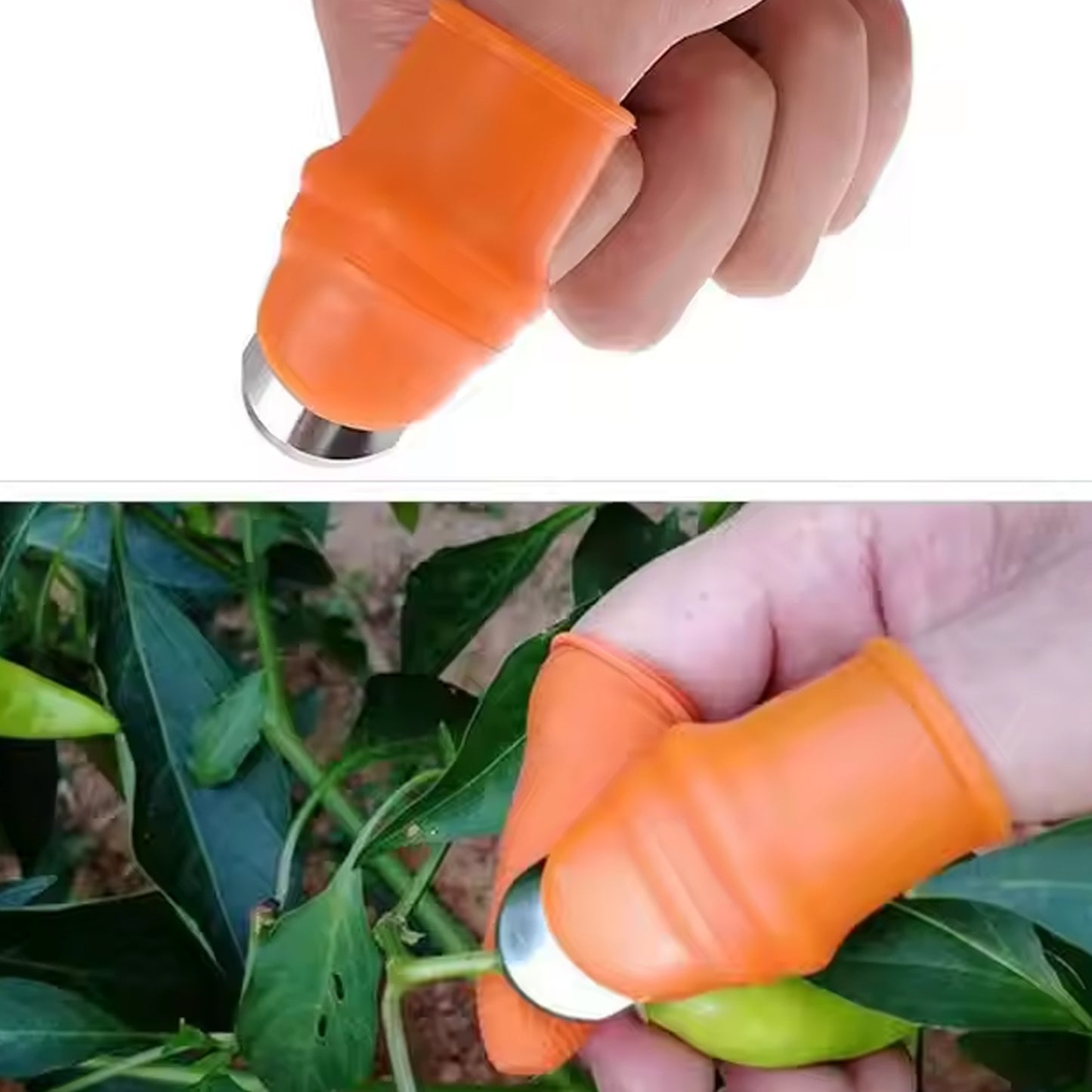 Thumbknife Cutter With Silicone Finger Guard (1 Pc)