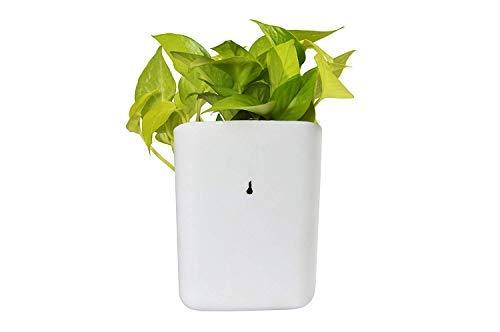Plastic Vertical Hanging Planter Pot Multicolour