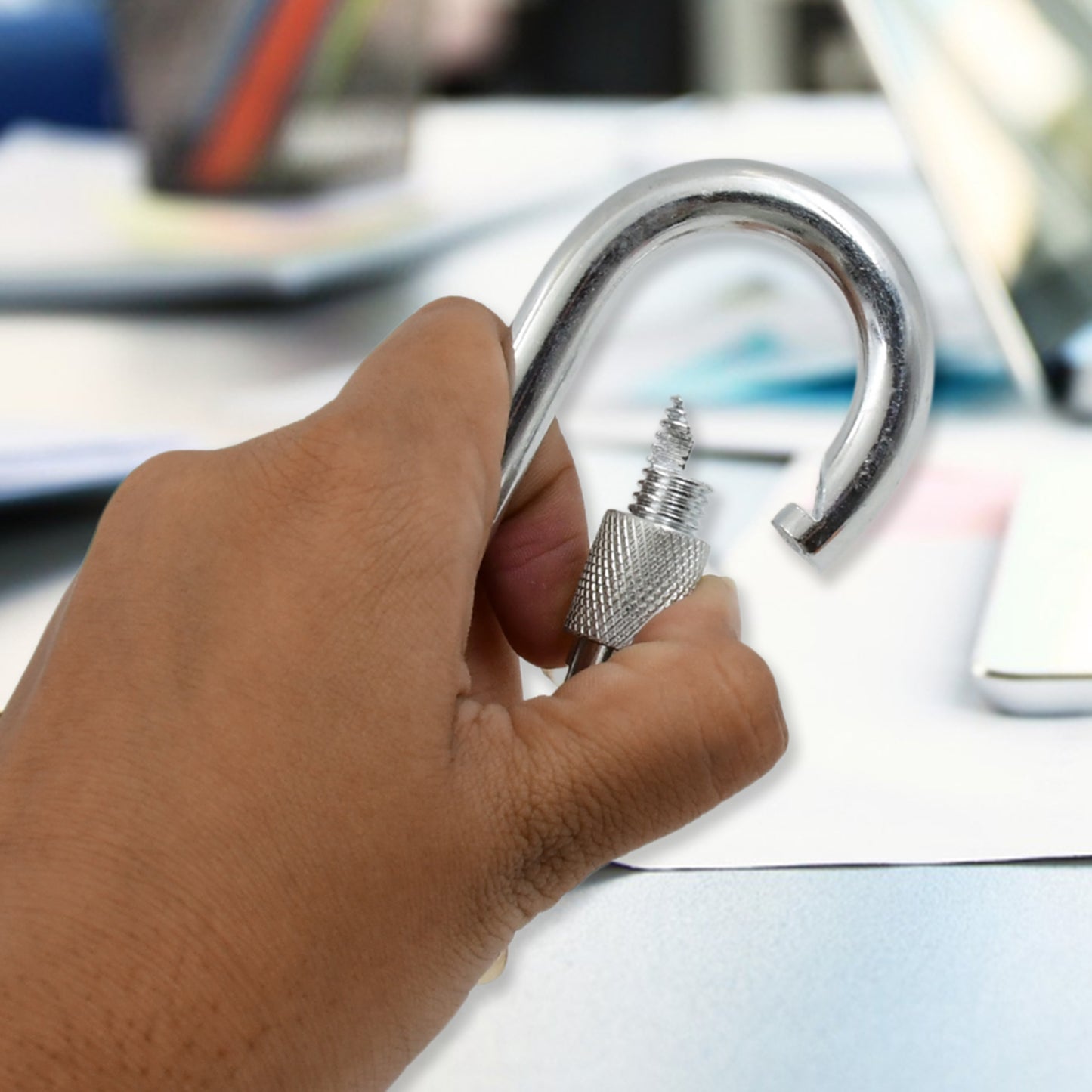 Snaphook With Screw-Stainless Steel Snap Hook Clip Heavy Duty Carabiner Clip (10100 Mm 1 Pc)