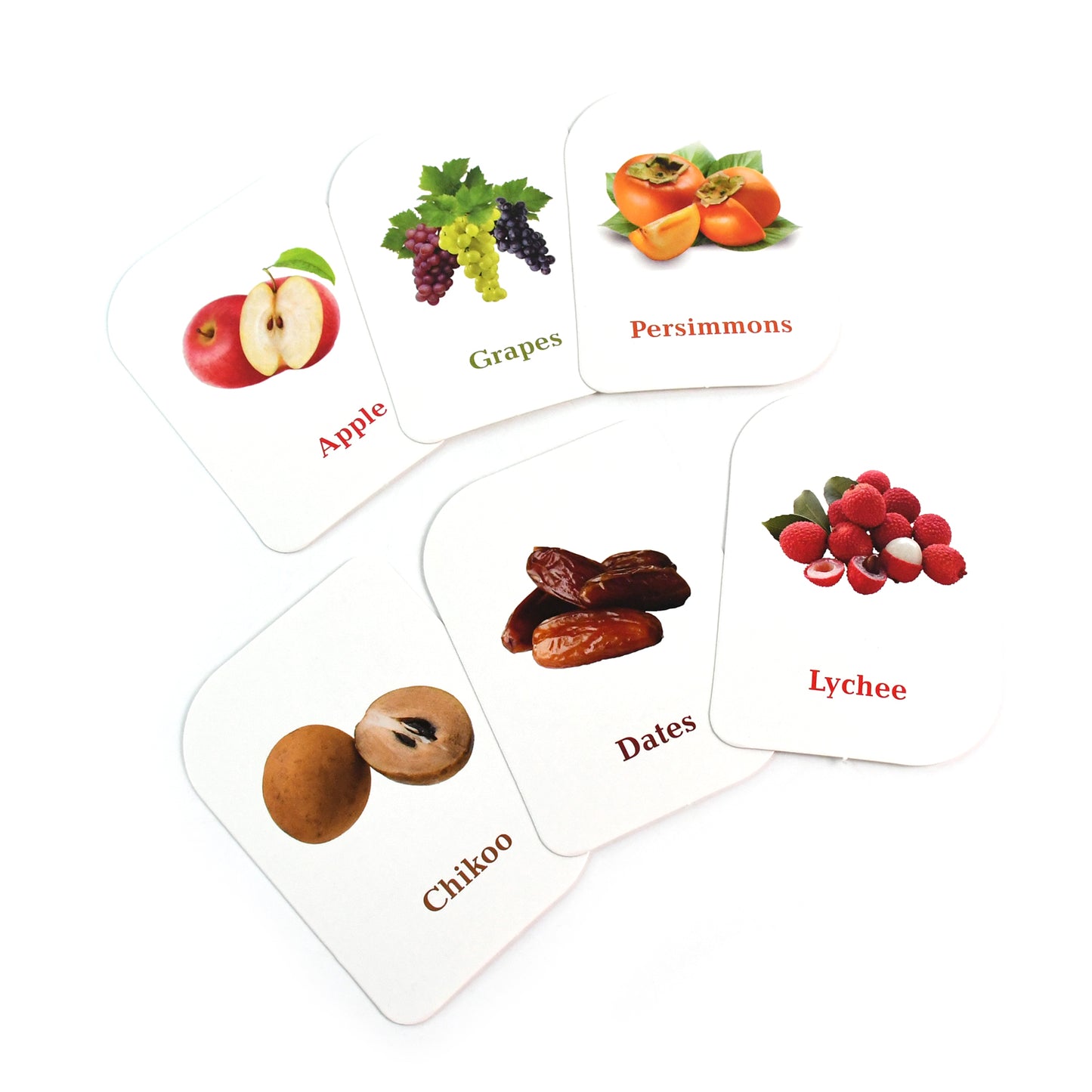 Kidkraft Early Learner Educational Flashcards 32 Birds