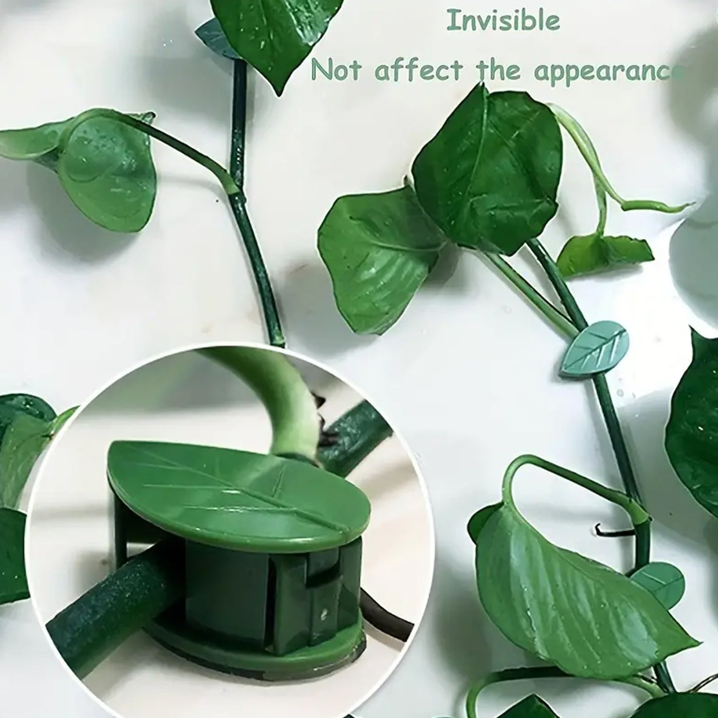 Plant Climbing Wall Fixture Clip Self-Adhesive Hook Vines Traction Invisible Stand Green Leaf Plant Clip Garden Wall Clip Plant Support Binding Clip Plants For Indoor Outdoor Decoration (30 Pcs Set)