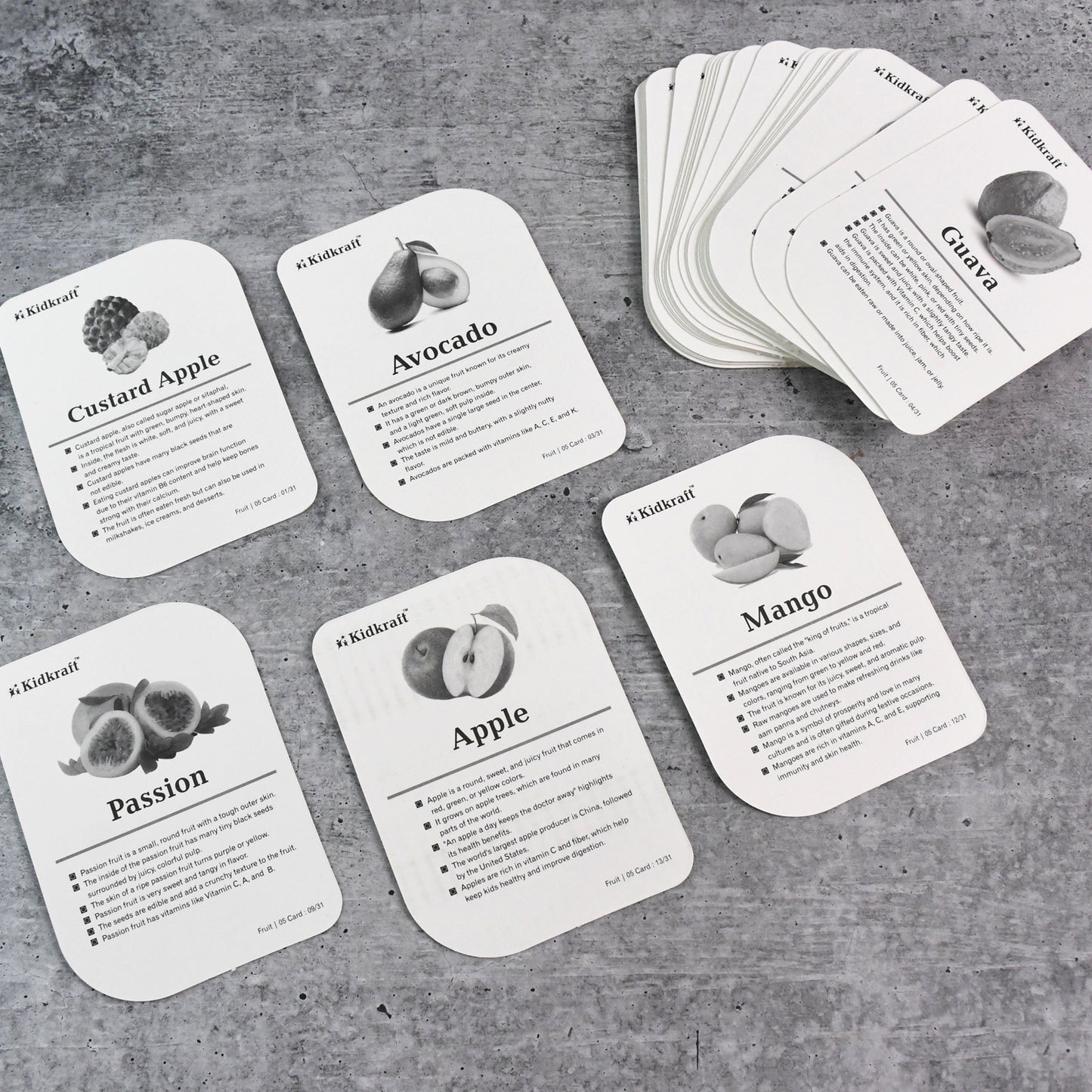 Kidkraft Early Learner Educational Flashcards 32 Birds