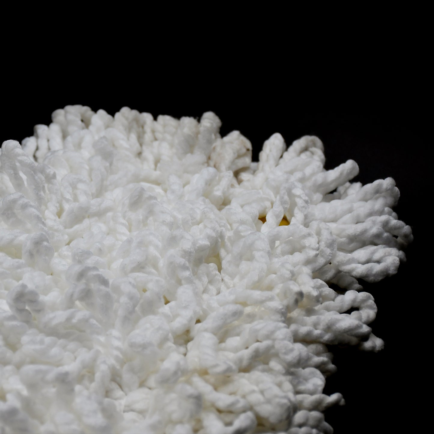 Dust Mop Refill - Replacement Mop Head Only - 50Cm X 20Cm