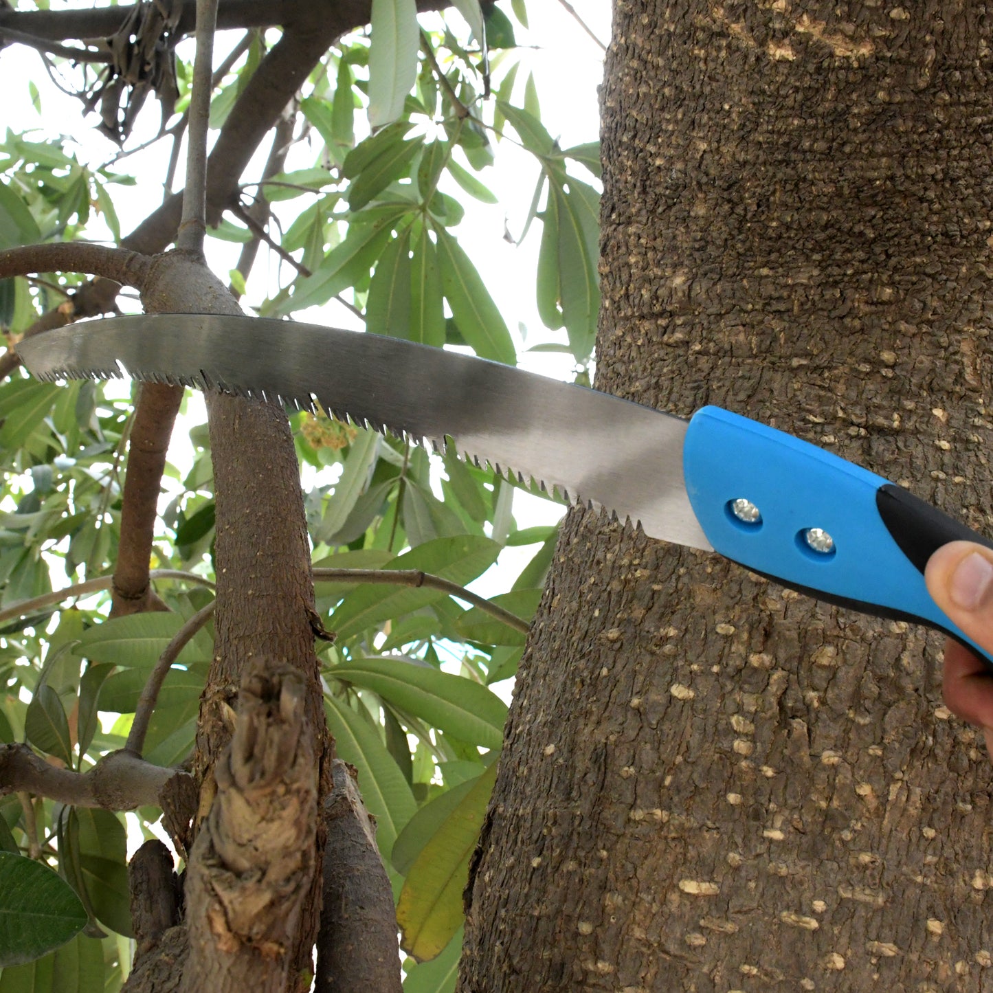 20 Inch Pruning Saw With High Carbon Steel Hand Saw Edge Sharpen Teeth With Cover Packing Perfect For Gardening Grass Tree Cutting Plants Shrubs Wood Branch Cut