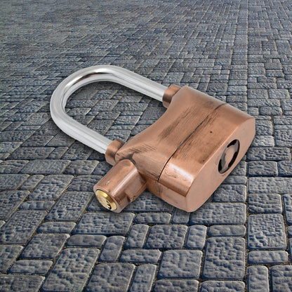 Brownsecurity Alarm Metallic Lock System With 3 Keys (1 Set)
