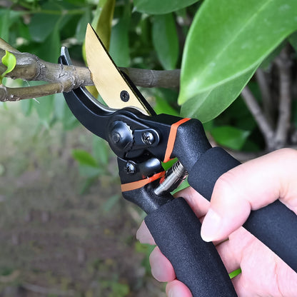 Heavyduty Garden Pruning Shears (1 Pc)