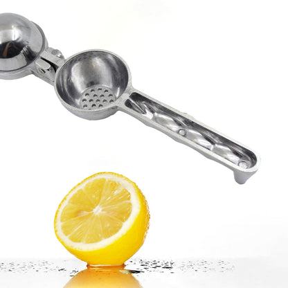 Lemonsqueezer Steel Polish