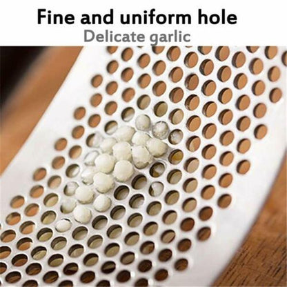 Stainless Steel Garlic Presser Crusher (Multicolor)