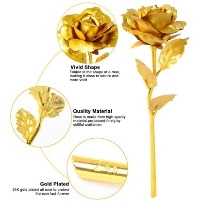 B Golden Rose Used In All Kinds Of Places Like Household Offices Cafes Etc. For Decorating And To Look Good Purposes And All.