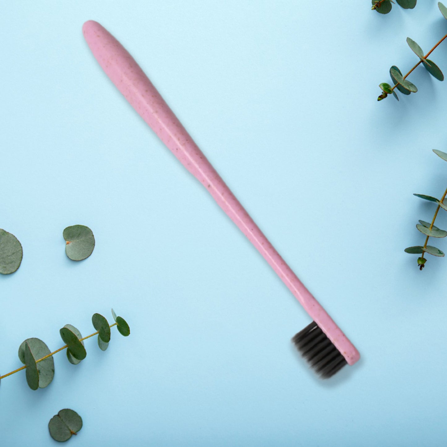 Soft Toothbrush With Toothbrush Cover Cleaner Scraper For Men And Women Kids Adultsplastic Toothbrush Cover  Case  Holder (1 Pc  Mix Color)