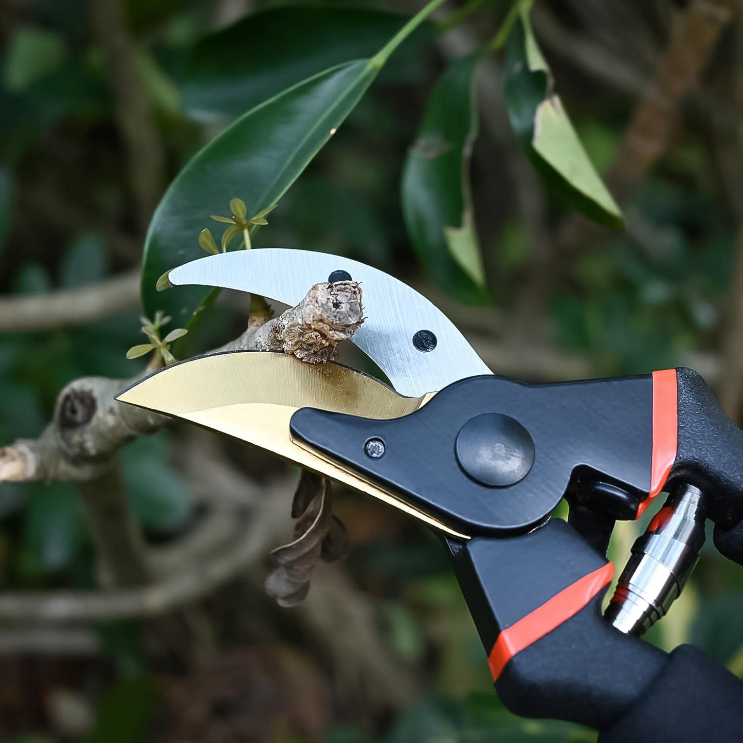 Heavyduty Garden Pruning Shears (1 Pc)