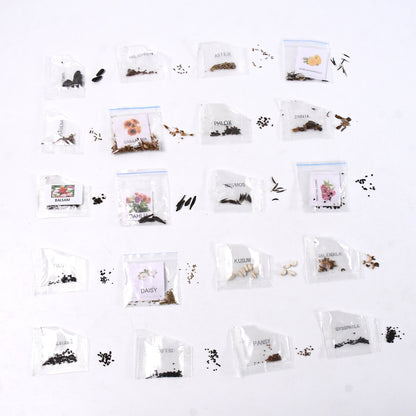Seeds20 Varieties Of Flower Seeds Combo (1 Pkt  20 Varieties)