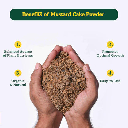 Mustard Cake Fertilizer For Plants 900Gm