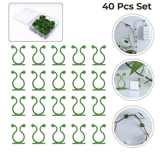 Plantclimbing Wall Fixture Clip Self-Adhesive Hook (40 Pcs Set  With Plastic Box)
