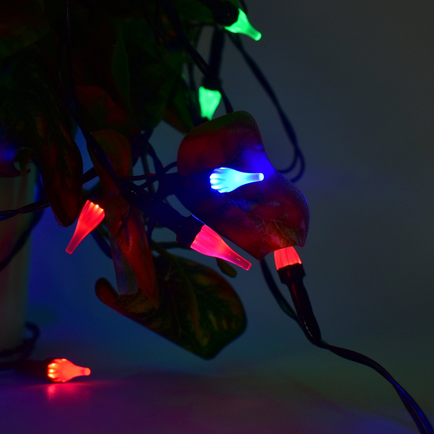 Multi-Color Decorative Led String Light  (8 Meter)