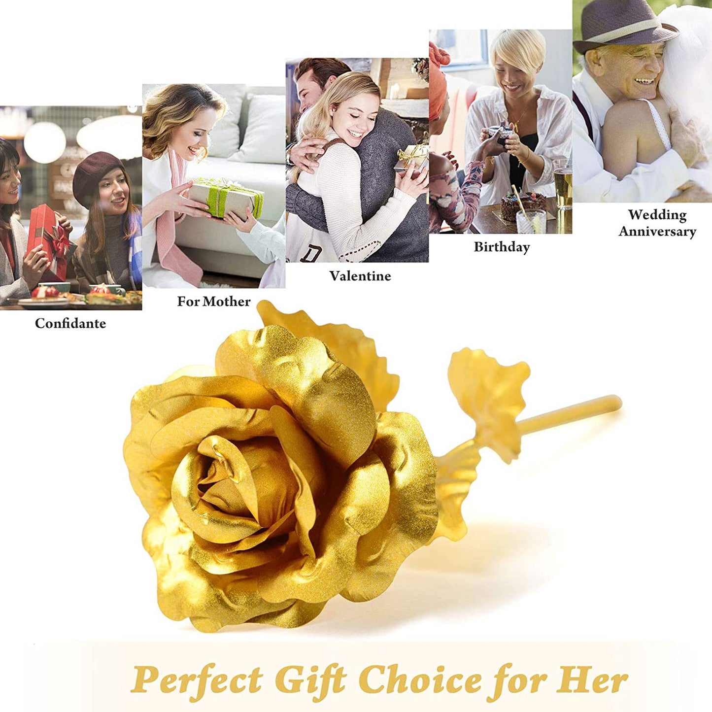 B Golden Rose Used In All Kinds Of Places Like Household Offices Cafes Etc. For Decorating And To Look Good Purposes And All.