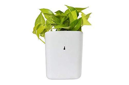 Plastic Vertical Hanging Planter Pot Multicolour