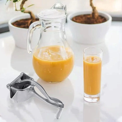 Manual Aluminium Metal Fruit Press Juicer  ( Brown Box )