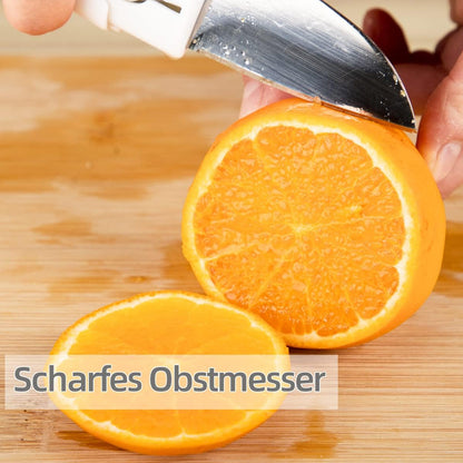 Dual-Use Knife And Peeler 2-In-1 Stainless Steel Blades Wiith Case (1 Pc)