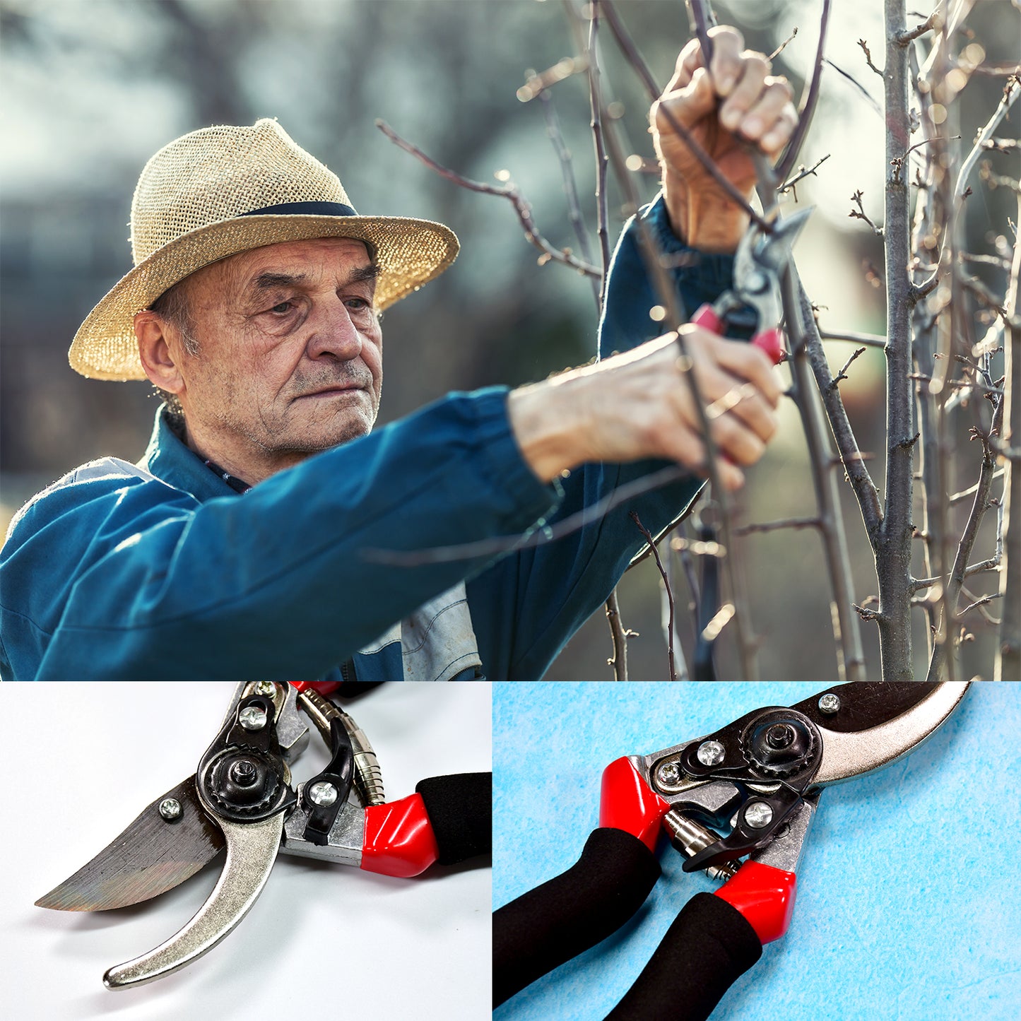 21Cm Red Garden Shears Sharp Cutter Pruners Scissor Pruner.