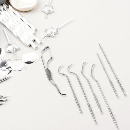 7 In1 Stainless Steel Toothpick Flossier Set (1 Set  With Case)