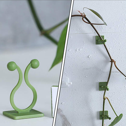 Plantclimbing Wall Fixture Clip Self-Adhesive Hook (200 Pcs Set)