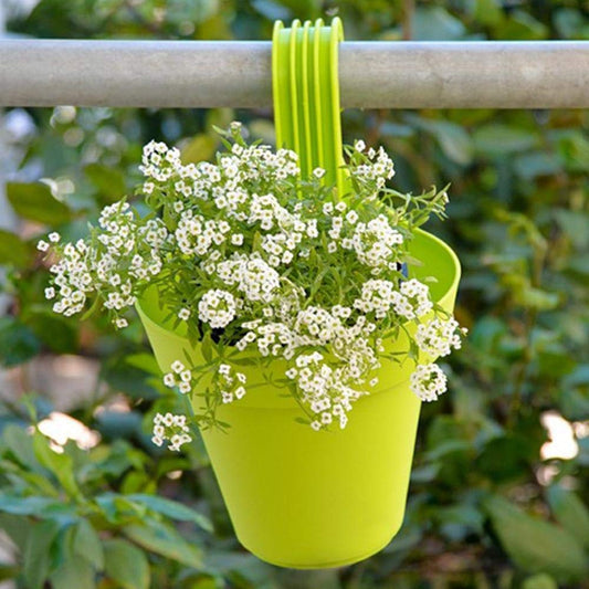Plastic Hanging Planter Pot Multicolour