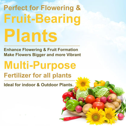 Mustard Cake Fertilizer For Plants 900Gm