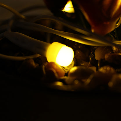 Warmled Decorative String Light (8 Meter)