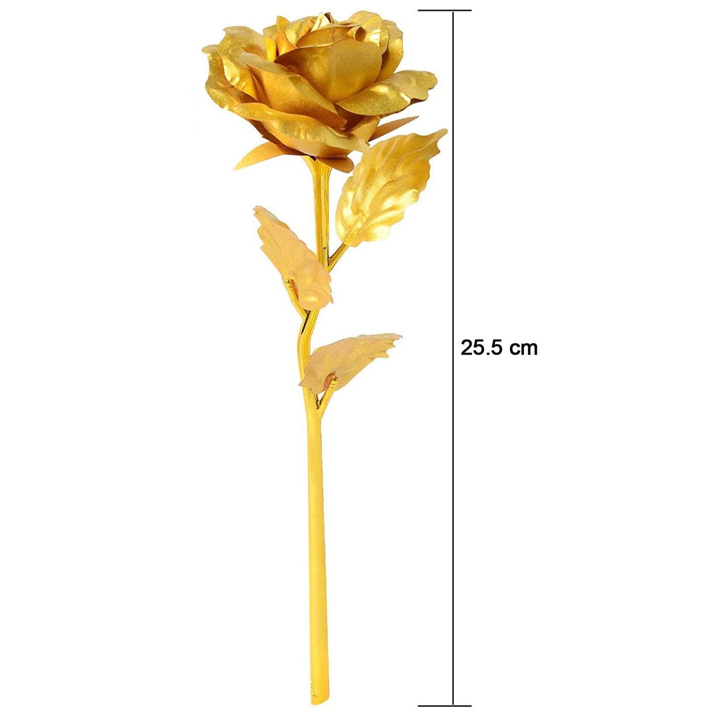 B Golden Rose Used In All Kinds Of Places Like Household Offices Cafes Etc. For Decorating And To Look Good Purposes And All.