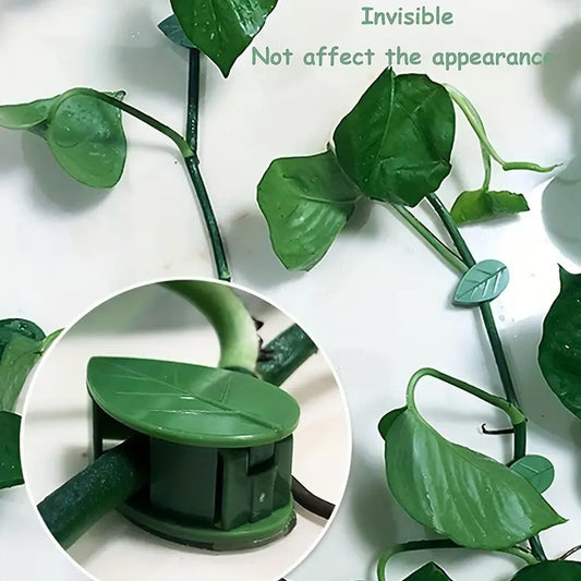 Plant Climbing Wall Fixture Clip Self-Adhesive Hook Vines Traction Invisible Stand Green Leaf Plant Clip Garden Wall Clip Plant Support Binding Clip Plants For Indoor Outdoor Decoration (30 Pcs Set)