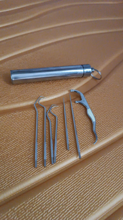 7 In1 Stainless Steel Toothpick Flossier Set (1 Set  With Case)